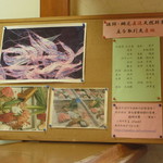 ファミリーれすとらん ひろせ 寿し正 - 全国から魚が入ってきます