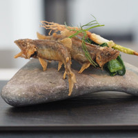 日本料理 TOBIUME - 