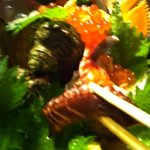 炭火焼　海輪亭 - タコもありましたw