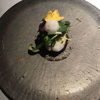レスピラシオン - いかすみといかのタルタルサラダ きゅうりの花が可愛い♪泡はレモンの香り