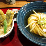 うどん工房悠々 - さんまのひやかけとアジの天丼セット