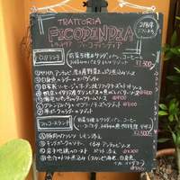 フィーコディンディア - 