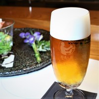 サントリー ザ・プレミアム・モルツ マスターズドリーム