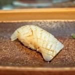 すし匠 - アオリイカ