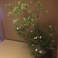 高台寺 和久傳 - 