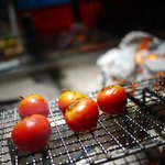 江戸肉割烹　ささや - 