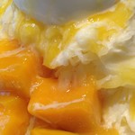 思慕昔 - マンゴーと手作りパンナコッタ雪花氷