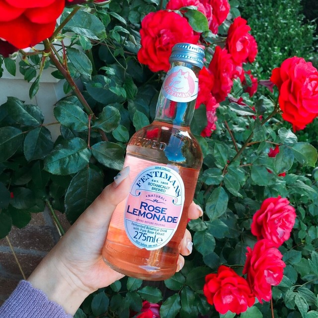 閉店 コピス ガーデン カフェ Coppice Garden Cafe 西横浜 カフェ 食べログ 閉店 コピス ガーデン カフェ Coppice Garden Cafe 西横浜 カフェ 食べログ