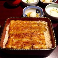 五代目 野田岩 麻布飯倉本店 - 鰻重 萩