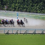 京都競馬場 - 内観