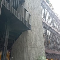 ミモザ - 