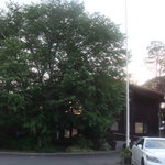 アメリカ屋 - 森の中にたたずむログハウス