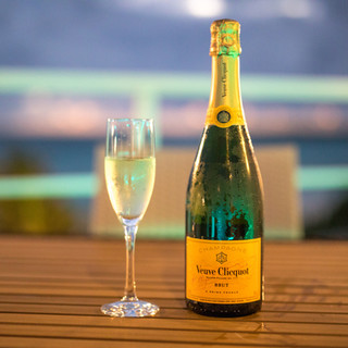 ブルータートル_1