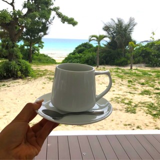 ブルータートル_2