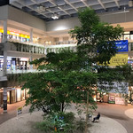 STEAK × WINE 肉バル LIMIT DISH - 丸亀町GREENの様子