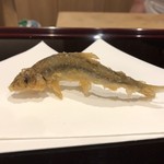 天ぷら たけうち - 稚鮎（大分）