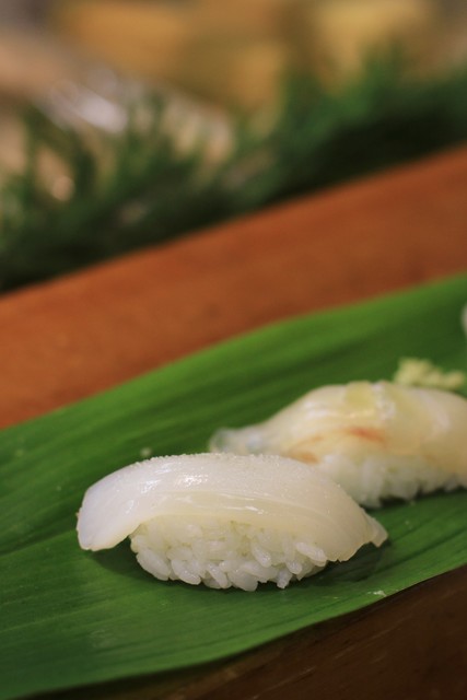 だるま 伊豆長岡 寿司 食べログ