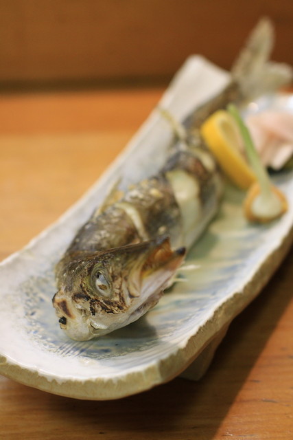 だるま 伊豆長岡 寿司 食べログ