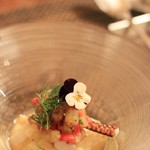 サラマンジェ ド ヨシノ - あおりいか♡