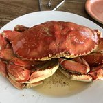 CRUSTACEAN - 
