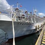 みなと食堂 - オマケ…近くの漁港のイカ釣り漁船