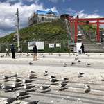 みなと食堂 - オマケ…再建中の蕪嶋神社とたくさんのウミネコ