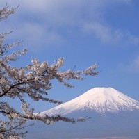 玄海 本店 - 