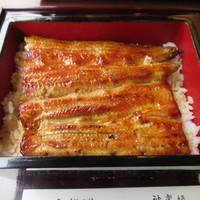 かぐら坂 志満金 - 