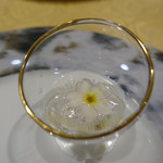 トゥ・ラ・ジョア - 