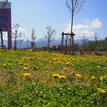 ヤツレン ソフトクリーム売店 - 