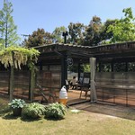 奥出雲葡萄園 - 庭カフェ 