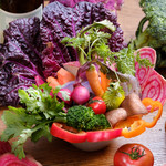 野菜がおいしいレストラン LONGING HOUSE - 元気な野菜たちのバーニャカウダ