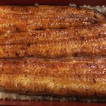 鰻はし本 - 横山さんの鰻の鰻重