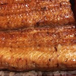 鰻はし本 - 横山さんの鰻の鰻重