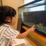 夢風景 - 変なお魚さん（がしら）が居るよ