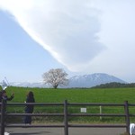 Koiwai Noujou Sofuto Kurimu Hausu - 満開の一本桜♡澄み渡る空と岩手山♪青々と広がる小岩井の地！ラッキー