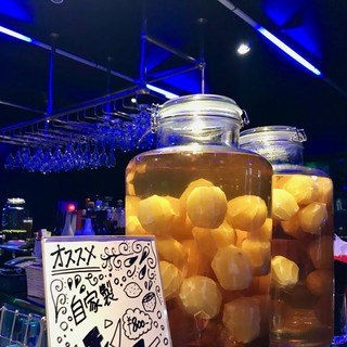 ディージェーバー アンド ラウンジ レップ_0