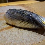 鮨 さいとう - コハダ