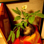 旬菜食房栖玄 - 