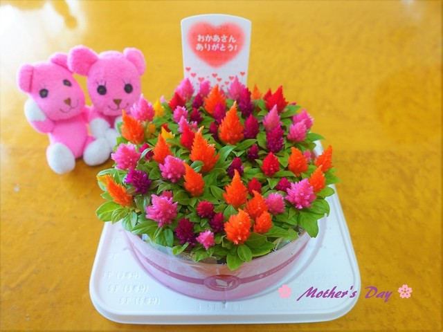 国華園 和泉本店 コッカエン 金剛 ソフトクリーム 食べログ