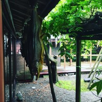 料亭 能登新 - 