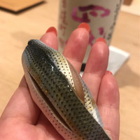 紀尾井町 三谷 - 