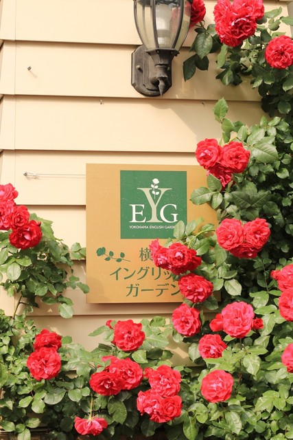 コピス ガーデン カフェ Coppice Garden Cafe 西横浜 カフェ 食べログ
