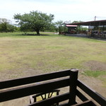 神門村 喫茶ZiZi - 広いドッグラン