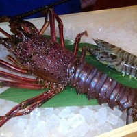 かにじぇんぬ 北新地 - 大きな伊勢海老と車海老