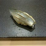 あま木 - コハダ