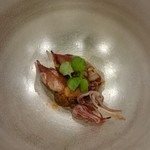 あま木 - ホタルイカ