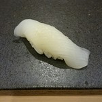 あま木 - アオリイカ