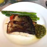 Captain Cook Cruises - 