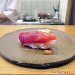 鮨割烹 汐 - 中トロ